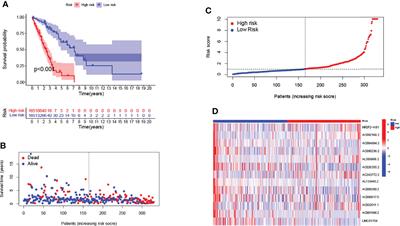 Identified Gefitinib Metabolism-Related lncRNAs can be Applied to Predict Prognosis, Tumor Microenvironment, and Drug Sensitivity in Non-Small Cell Lung Cancer